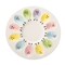 Easter Colorful Chick 12 Section Holding Deviled Egg Serving Platter 11"